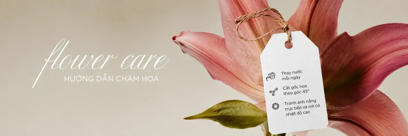 Flower Care - Hướng dẫn chăm hoa